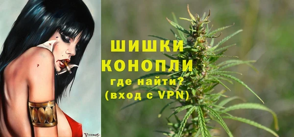 PSILOCYBIN Балахна