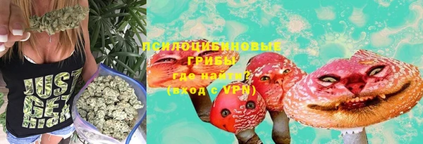 ГАЛЛЮЦИНОГЕННЫЕ ГРИБЫ Балабаново