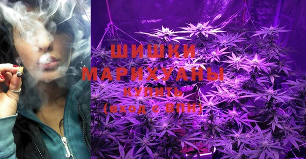 PSILOCYBIN Балахна