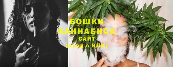 PSILOCYBIN Балахна