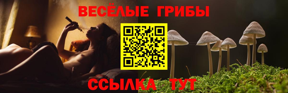Кувандык  Псилоцибиновые грибы Magic Shrooms  Вход с VPN 